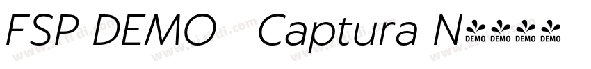 FSP DEMO   Captura N字体转换